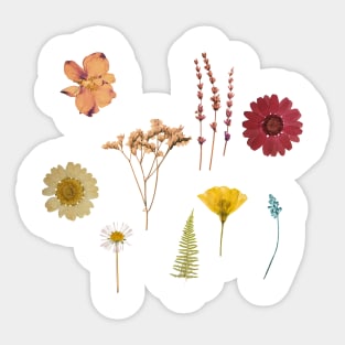 Colorful pressed wildflower pattern Sticker